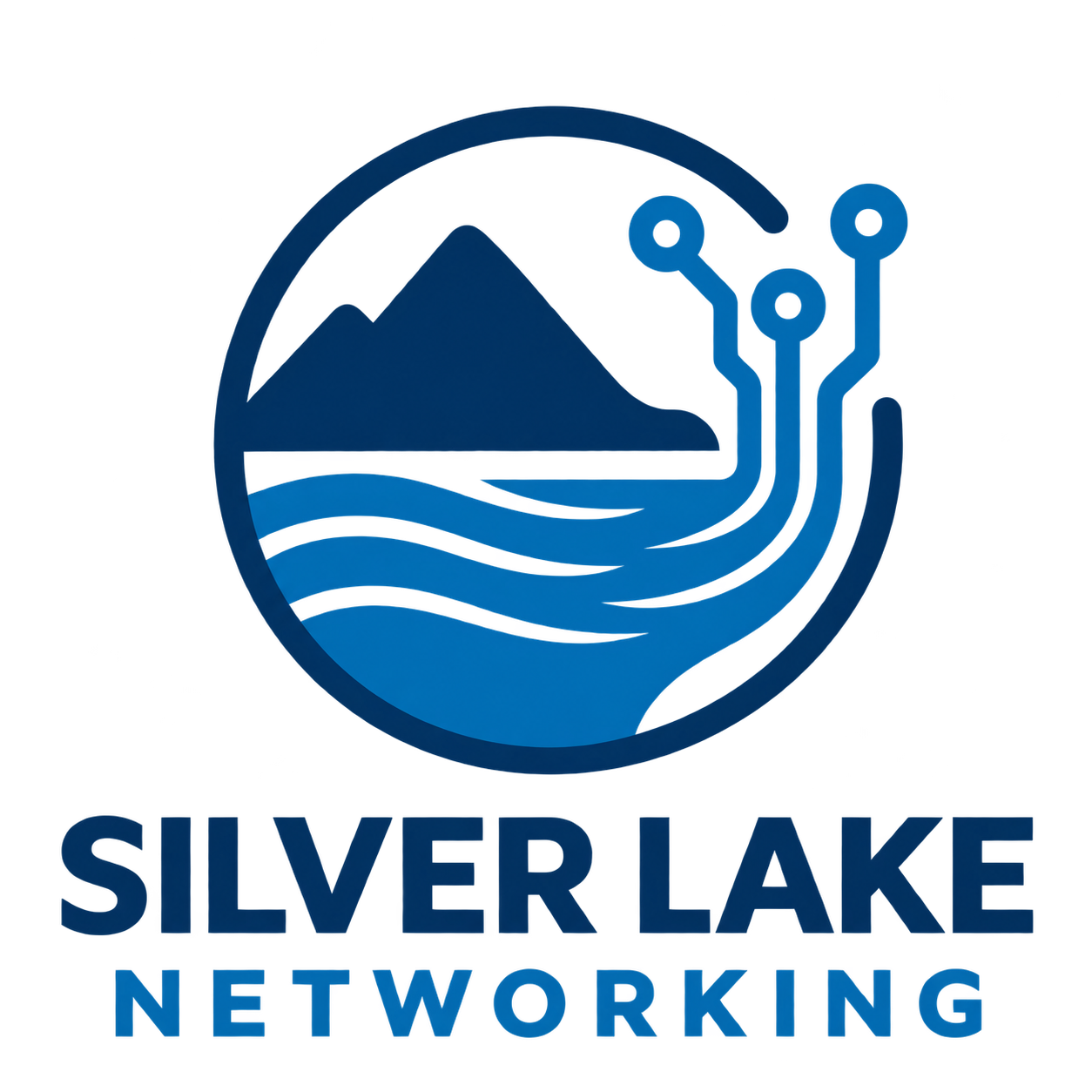 Silver Lake Networking